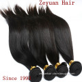 Thick Virgin Remy Human Hair Virgin Brazilian Human Hair Weave (ZYWEFT-01)